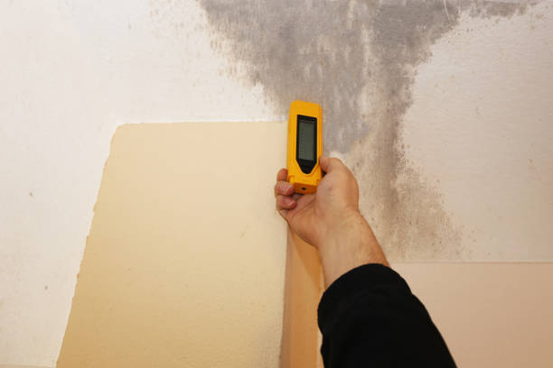 Best Comprehensive Air Testing for Mold Contaminants  in Saunders Lake, OR