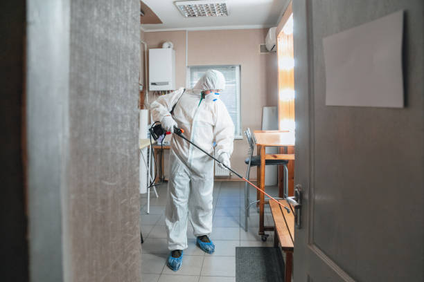 Best Mold Odor Removal Services  in Saunders Lake, OR