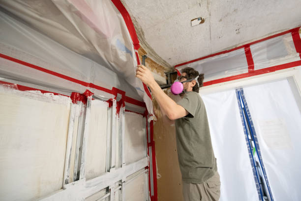 Saunders Lake, OR Mold Removal Company