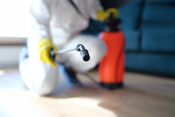 Best Mold Remediation for Healthcare Facilities  in Saunders Lake, OR